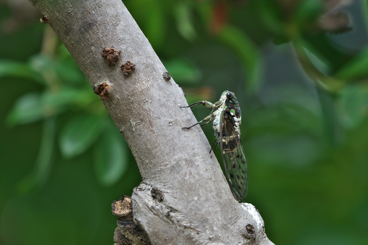 a0083081_20424940.jpg