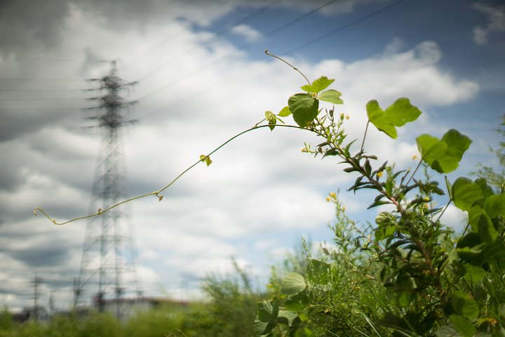 雲多き夏の日_d0353489_21404267.jpg