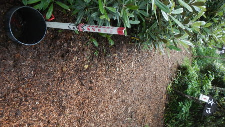 県境の石を探せ_e0120896_07071554.jpg