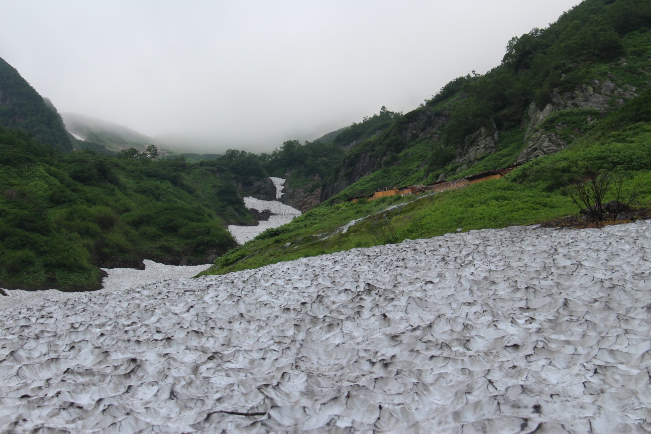 白馬三山 2017/07/27～29(3日目)_a0320601_17301337.jpg