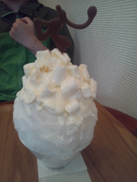 パティスリーKARAKU 雪のメレンゲ氷_f0076001_1474436.jpg