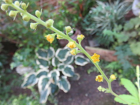 d0046702_13403450.jpg