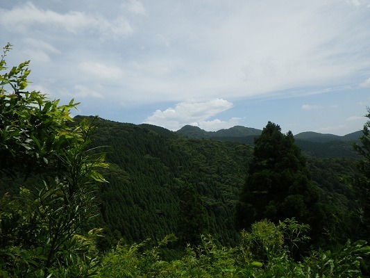 17-8：多良岳＆金泉寺「オオキツネノカミソリ」　　　_f0187402_20023478.jpg