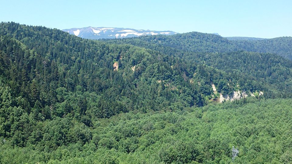 b0172805_15492912.jpg