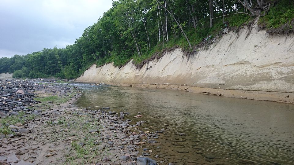 b0172805_19550161.jpg