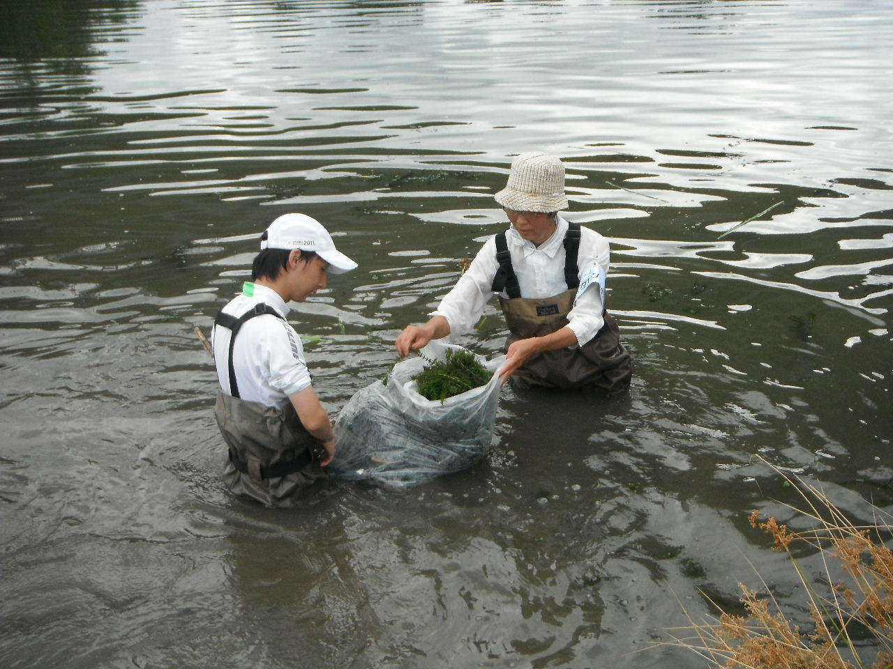 【ご報告】城北定例保全活動９_a0263106_17533932.jpg