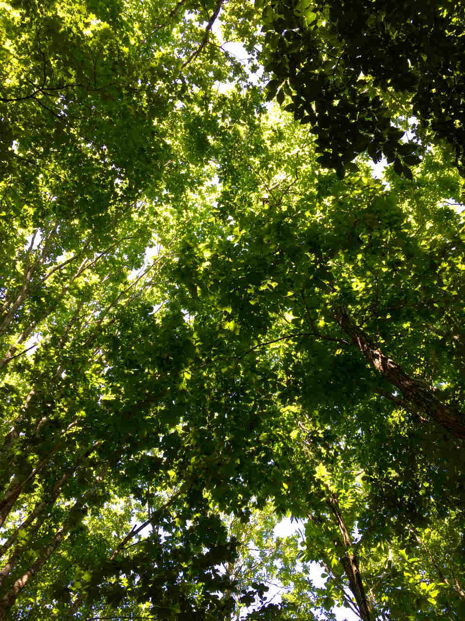 c0323807_17055708.jpg
