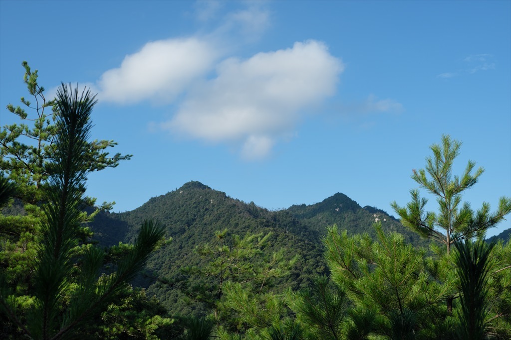 宮島弥山を歩きました(2017/08/05)_c0346710_19543528.jpg