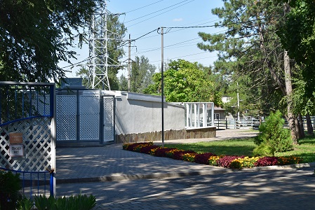 a0151913_820867.jpg