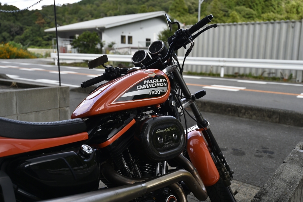当たり年_a0159215_22530800.jpg