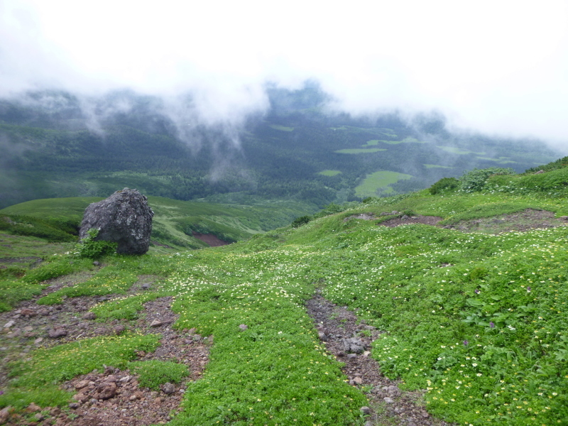 d0170615_16151597.jpg