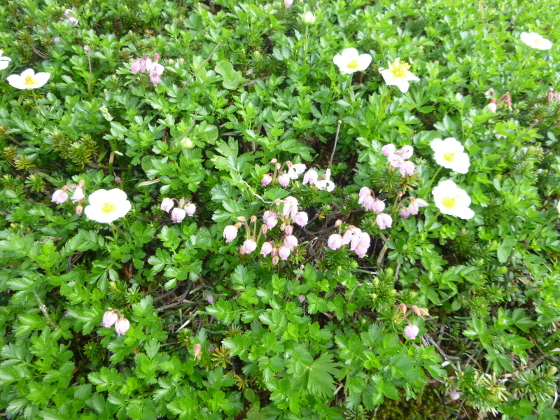 d0170615_16161301.jpg