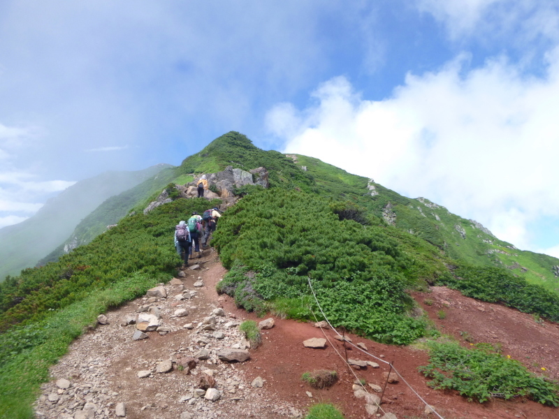 d0170615_16164254.jpg