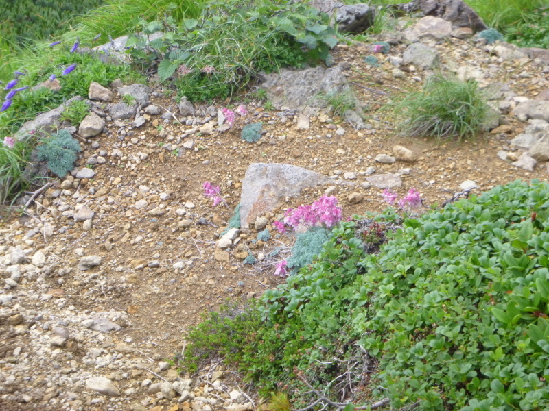 d0170615_16165083.jpg