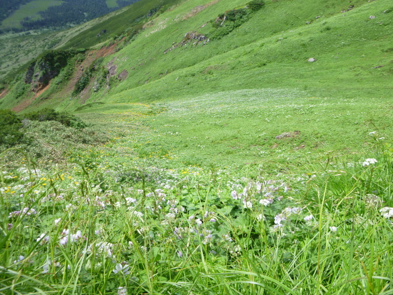 d0170615_16170601.jpg