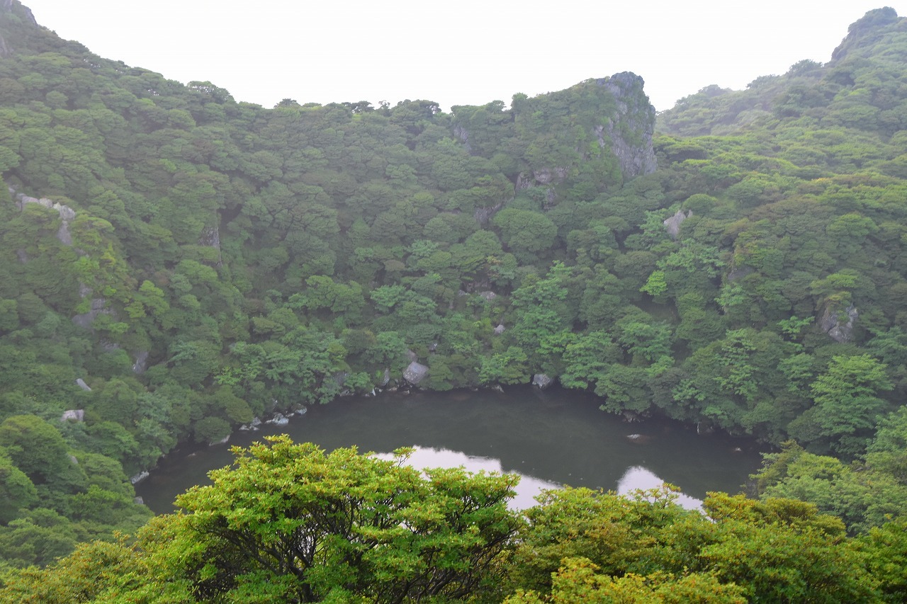 朝駆け　大船山登山。_f0174419_20533095.jpg