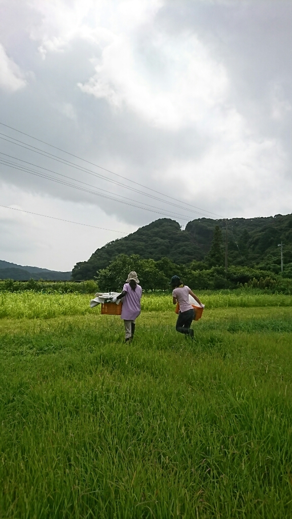 b0187620_20402462.jpg