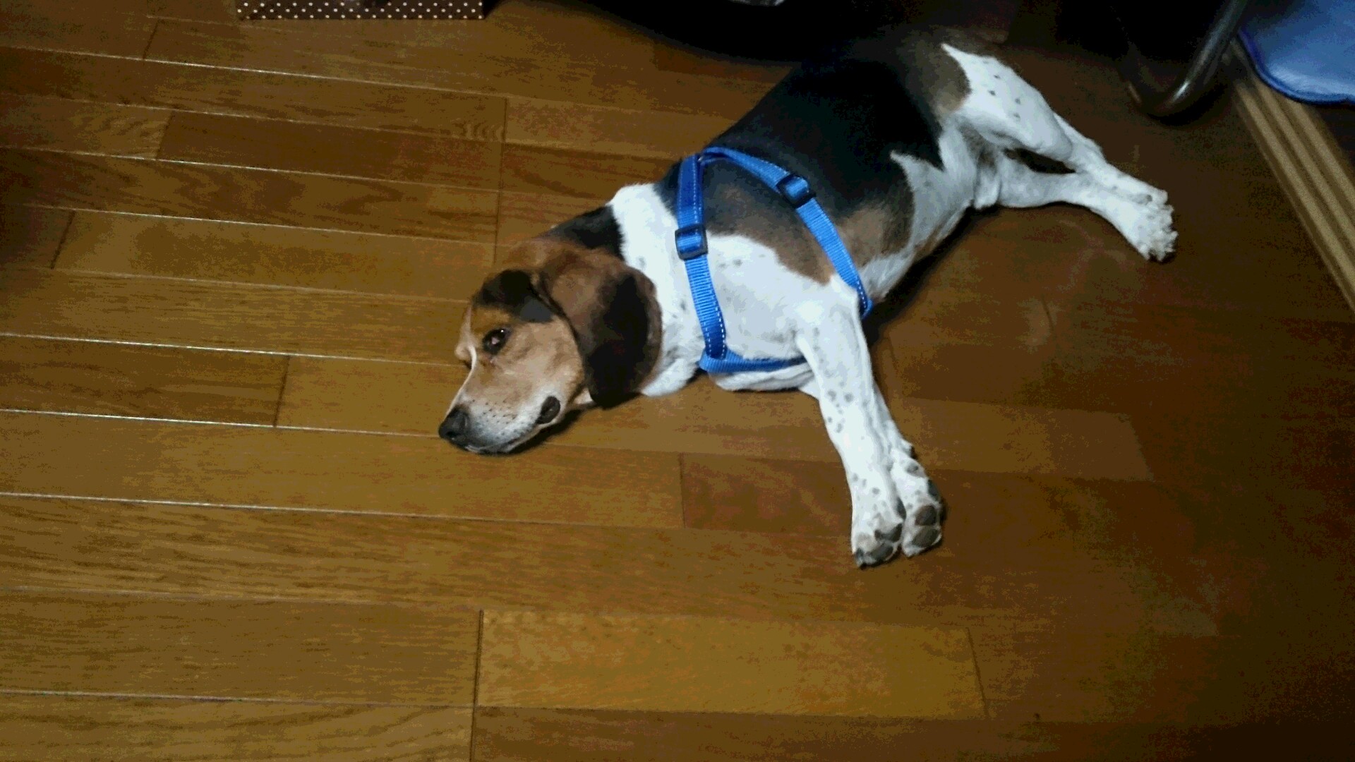 f0260120_23185578.jpg