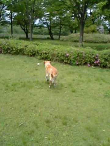 c0114121_0232855.jpg