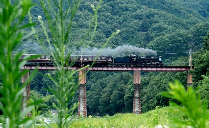 鉄橋がある　秩父鉄道　SL パレオエクスプレスが行く 他にも色々　2017/8/3 _d0129921_1427301.jpg