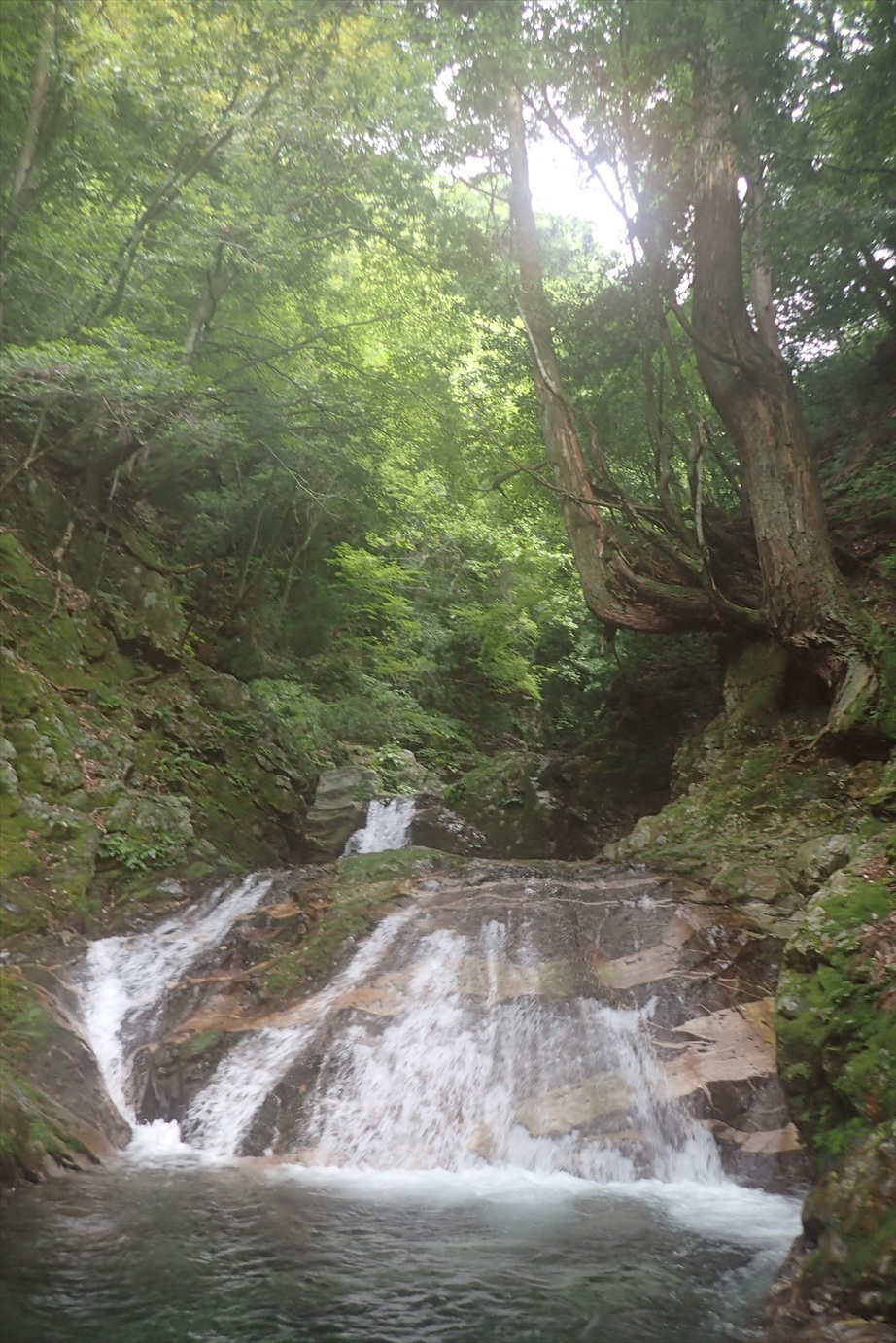 f0348933_22235987.jpg