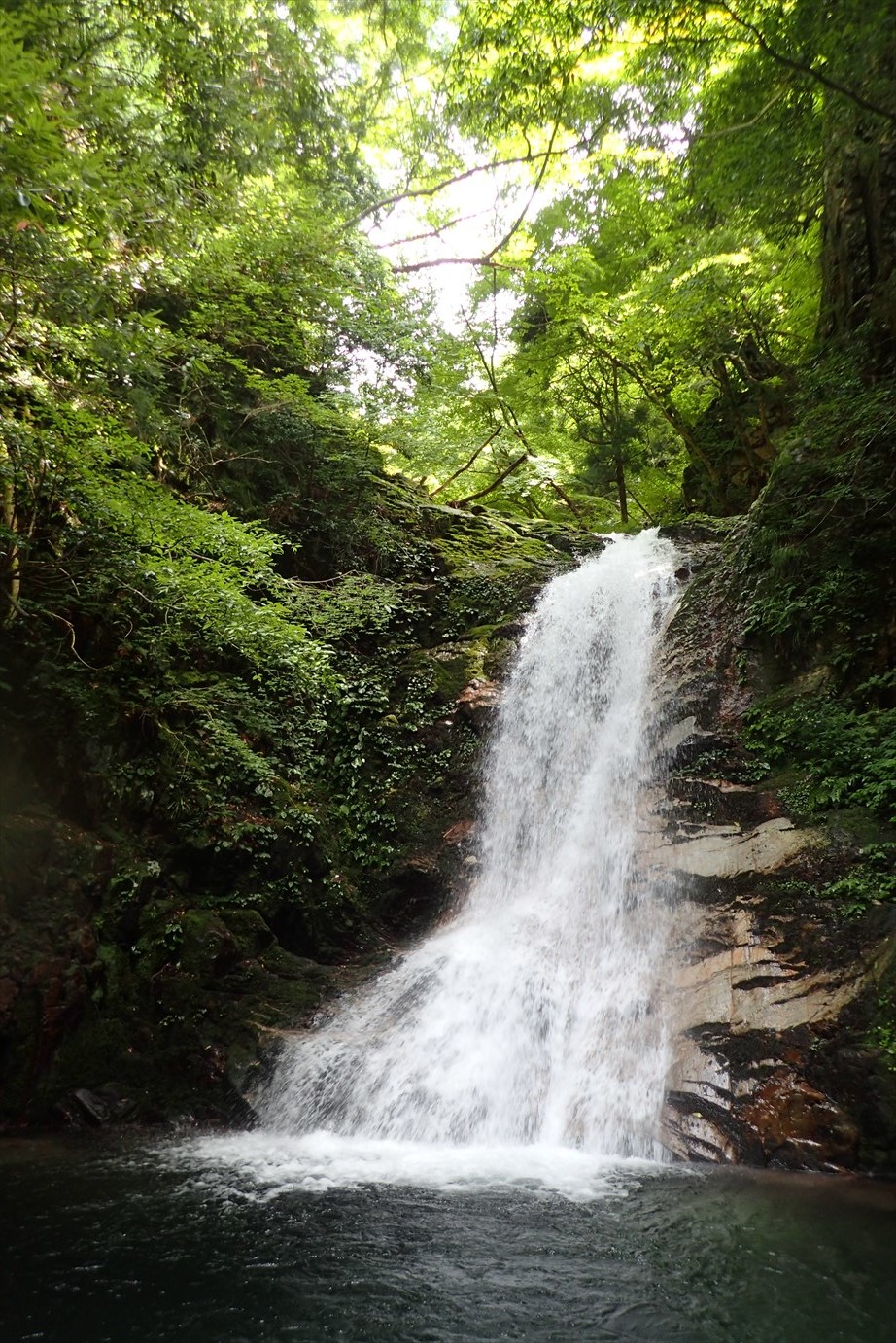 f0348933_22253688.jpg