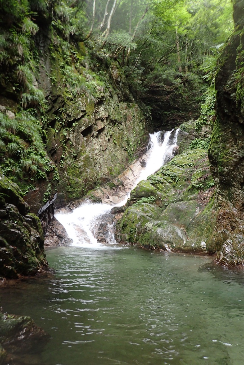f0348933_22263228.jpg