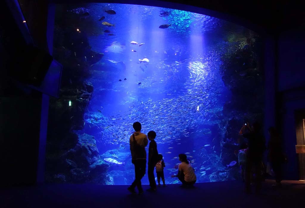 京都水族館-5@2017-07-29_d0250840_01062519.jpg