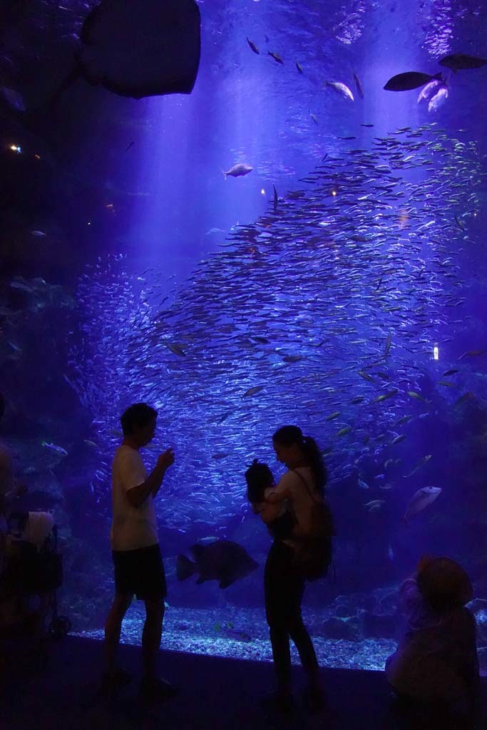 d0250840_01074114.jpg