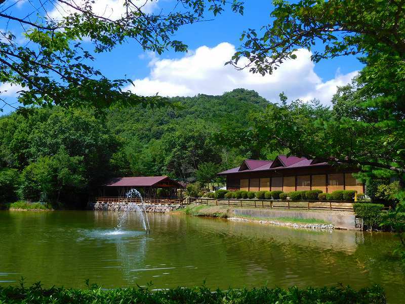 シイタケ園「有馬富士」(三田市)20170803_e0237645_14361360.jpg