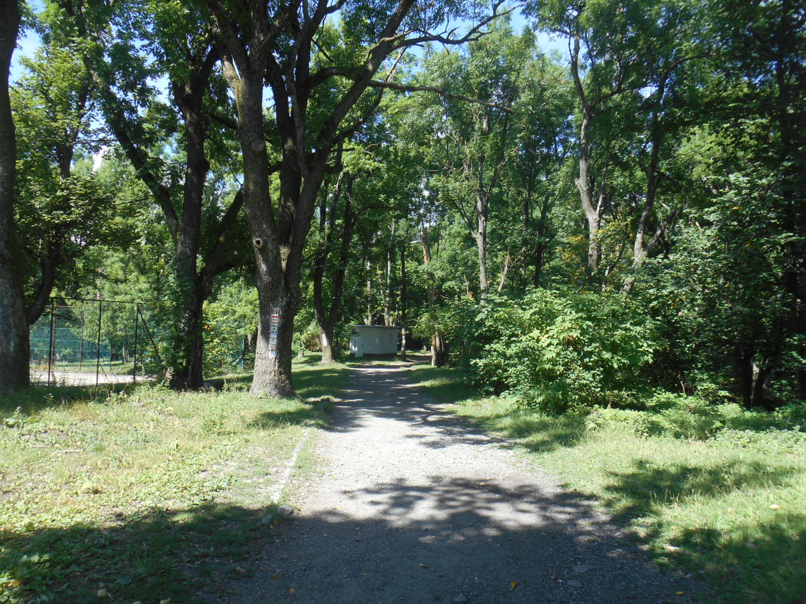 e0297347_14465820.jpg