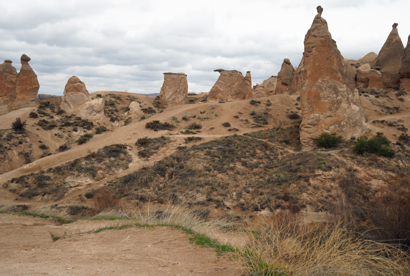 f0140054_07494768.jpg