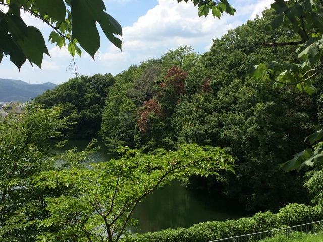 f0228958_20082514.jpg