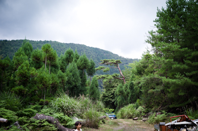 170805 北山杉_b0129659_1041831.jpg
