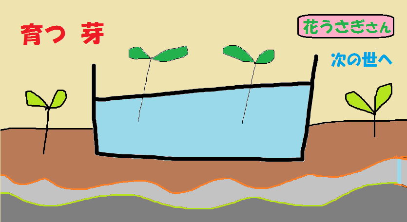 e0370759_07204109.png