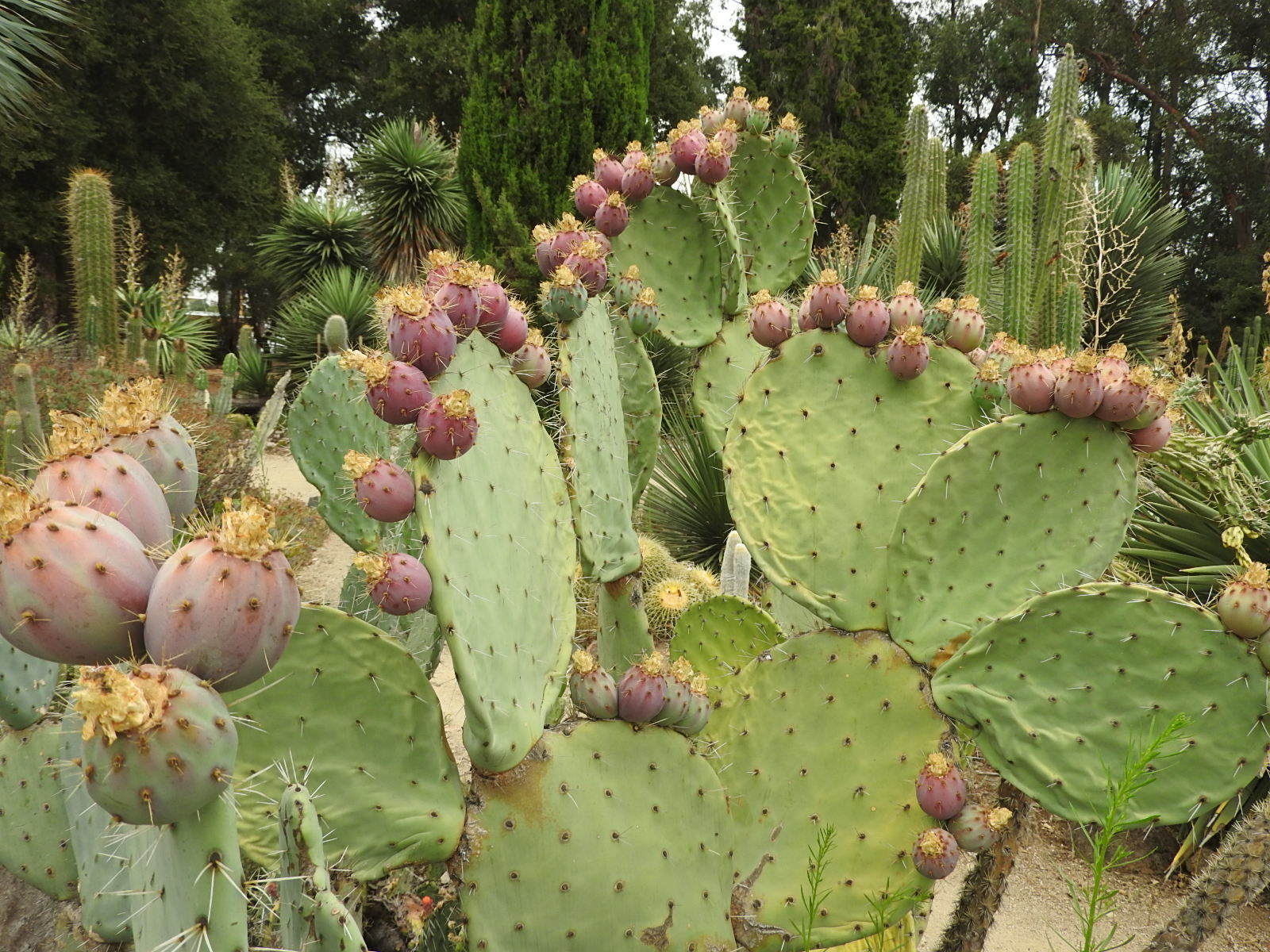 c0115366_05162573.jpg