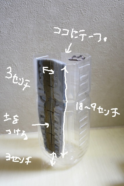 ペットボトルハンギングの作り方 この植物をお買い２