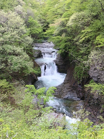 f0230777_10093935.jpg