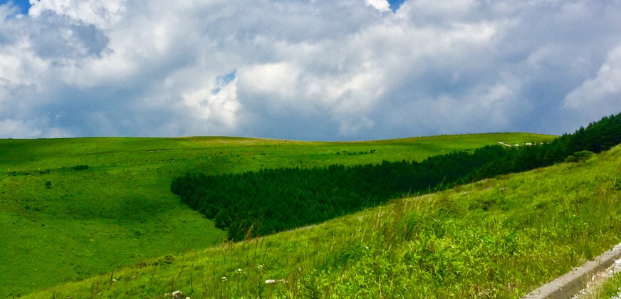 a0091680_00135621.jpg