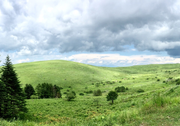 a0091680_00135839.jpg