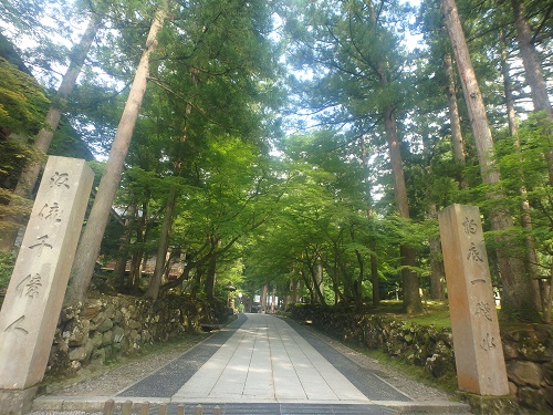 近江市場で海鮮丼　永平寺近くで蕎麦_d0174683_13143459.jpg