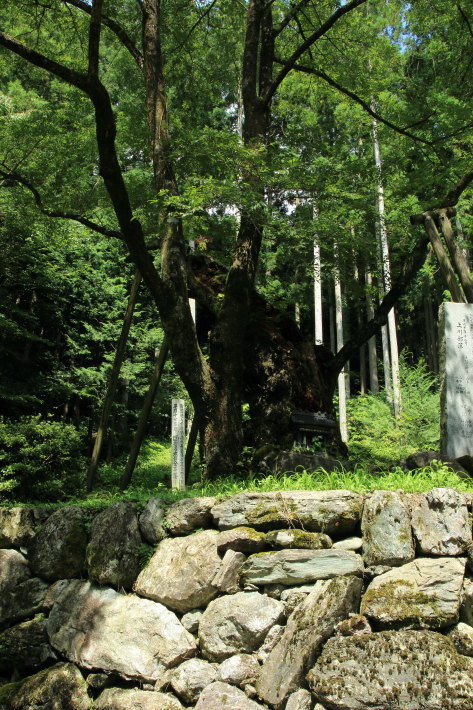 c0358784_20221592.jpg