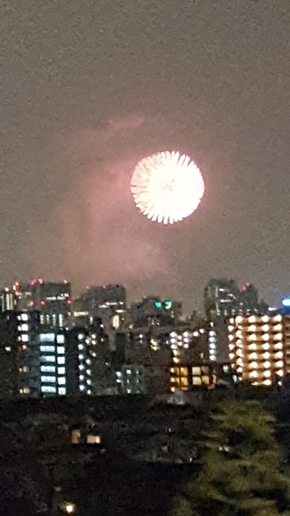 a0147685_23261750.jpg