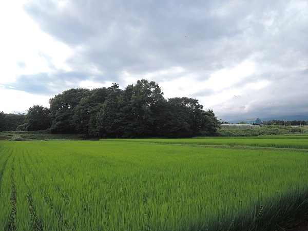 高根町N田さんのお家の塗装①_a0211886_23033377.jpg