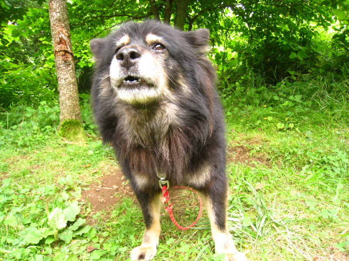 d0077992_18431400.jpg