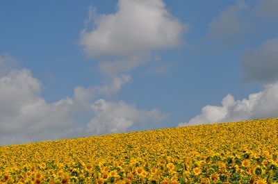 e0180796_19263910.jpg