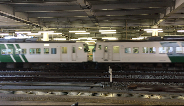 小田原駅で鉄活！！_d0367998_03490337.png