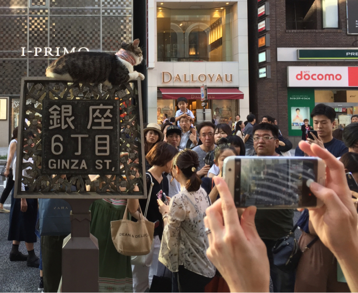 銀座6丁目の猫 浅野美帆子の うふふ 銀座6丁目の猫 浅野美帆子の うふふ
