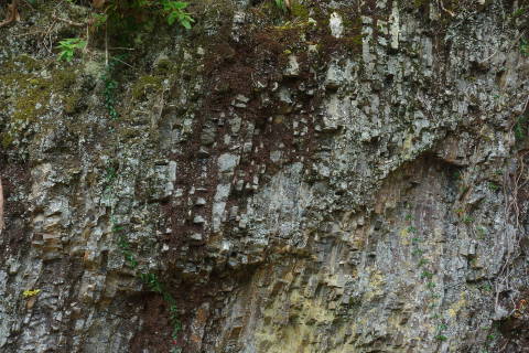 b0069604_19202350.jpg