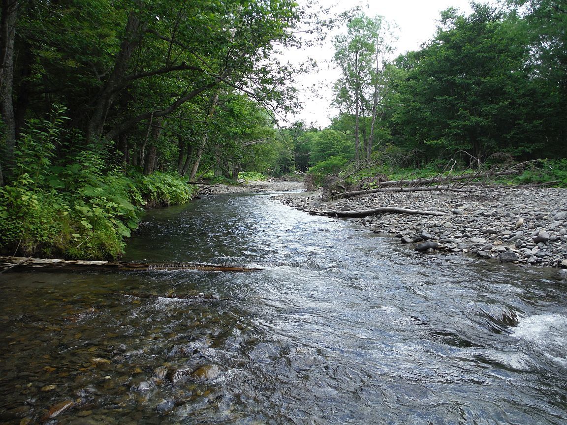 b0172805_11393244.jpg